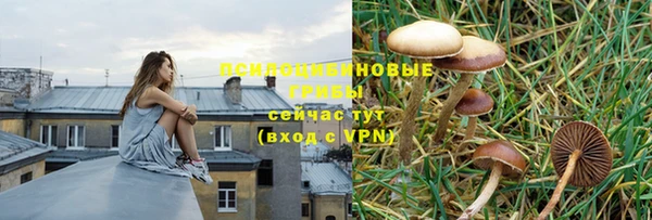 mdpv Аркадак
