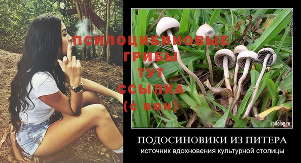 mdpv Аркадак